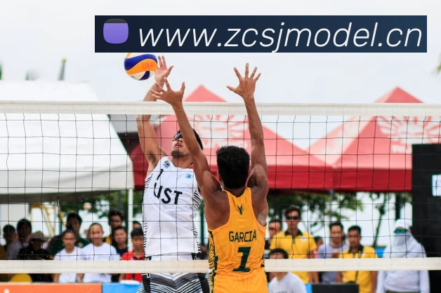 emc易倍全站网页版平台生态图